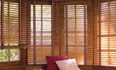 Basswood